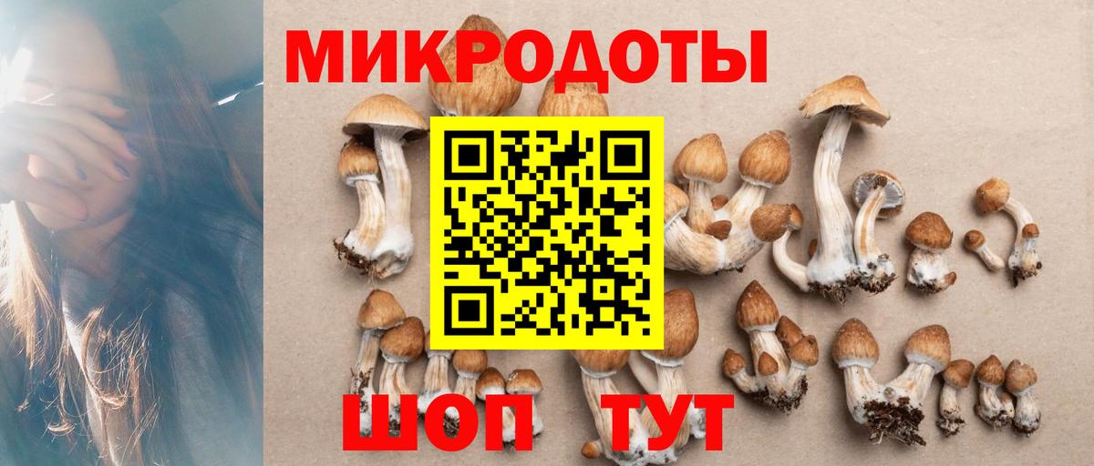 Канск  Галлюциногенные грибы Cubensis  Галлюциногенные грибы мухоморы  Вход с VPN 
