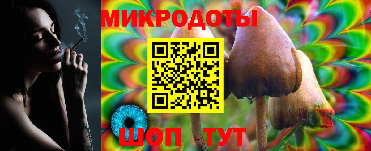 Псилоцибиновые грибы прущие грибы Канск