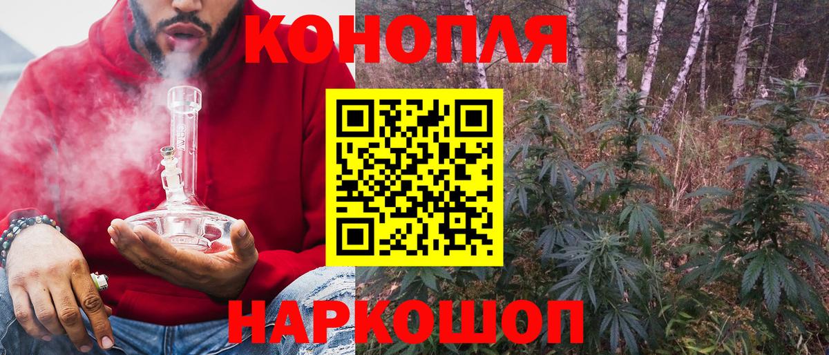 Бошки марихуана THC 21%  Бошки Шишки семена  Вход с VPN  Марихуана Bruce Banner  Канск 